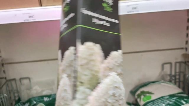 Новая ватная игрушка. Гортензии в Леруа Мерлен. Поездка на дачу. Шкаф-реквизит. смотреть онлайн