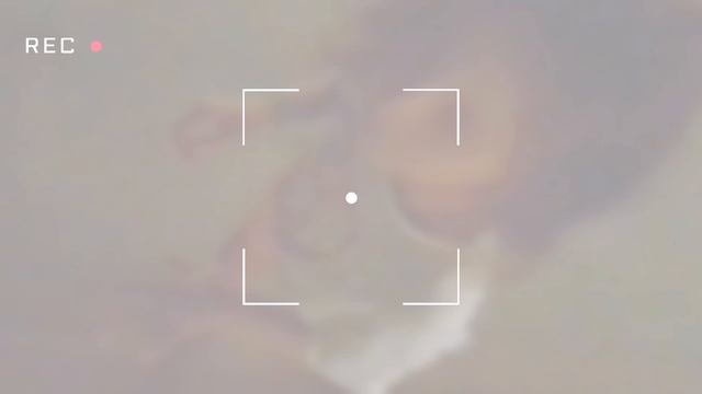 #двойняшки #Настя #Лиза