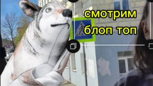 Смотрим блоптоп