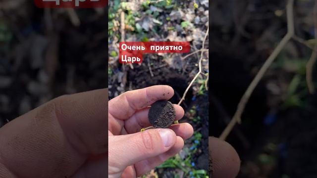 Моя первая царская монета #shorts