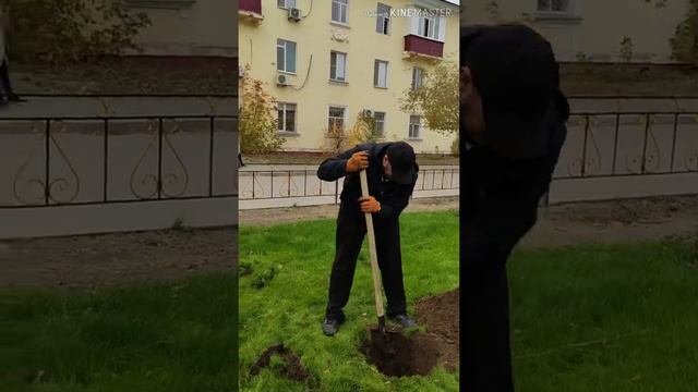 Осенняя посадка с Актобе,Дыши! смотреть онлайн