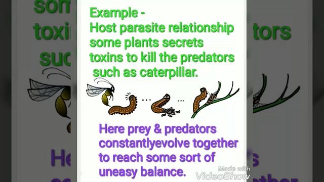 THE RED QUEEN HYPOTHESIS: AN EVOLUTIONARY CONCEPT//
CSIR NET LIFE SCIENCE смотреть онлайн