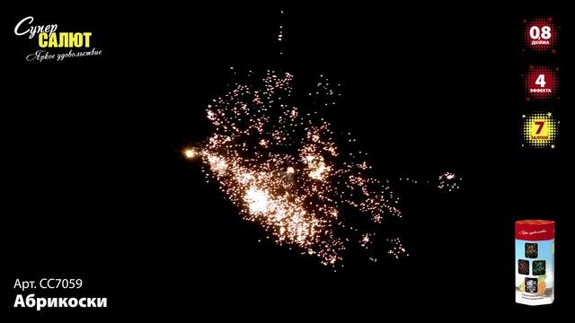 СС7059_2024 смотреть онлайн