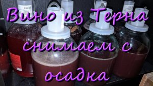 Вино Из Терна В Домашних Условиях Простой Рецепт Снимаем С Осадка