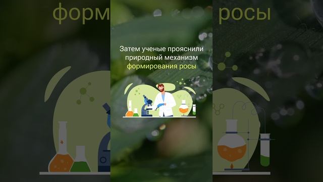 ОТКУДА БЕРЕТСЯ РОСА? #фейк #факты #новости смотреть онлайн