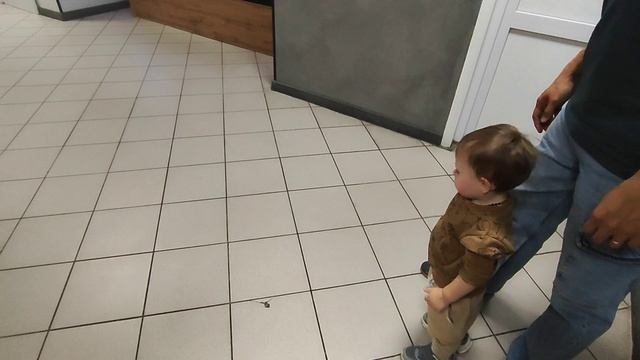 День рождения Лёвушки 🦁🫶 И Не много про кроляток 🐇#влог #семья #любовь #декоротивныекролики #др