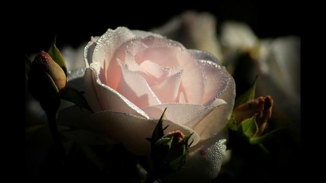 Спикерская Ирины. АП. (Анонимные переедающие). Тема: " Как изменились мои отношения с мамаой". смотреть онлайн