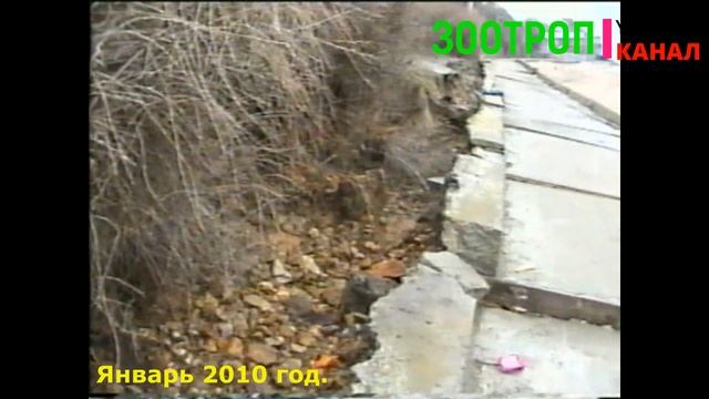 Одесса. Черноморка. 2010 год. Разрушение набережной. Архив. Гапон. Совиньон. Оползень. #зоотроп смотреть онлайн