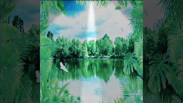 Traveling Songs | Bus Travel Songs/ Tamil Kuthu Songs / Tamil Love Songs