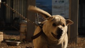 Мягкие Лапки #6