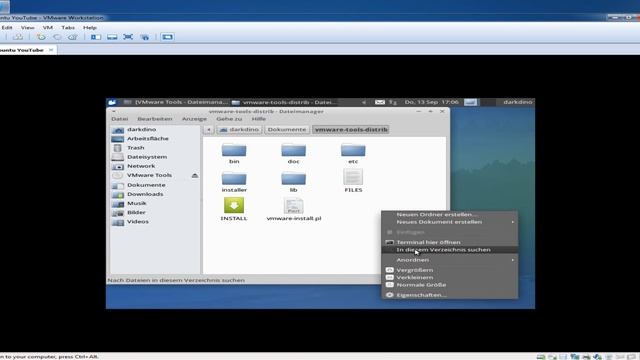 VMware-Tutorial: Ubuntu VMware-Tools-Installation - DarkDino2010 смотреть онлайн