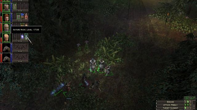 Dungeon Siege 1 (Часть 11)