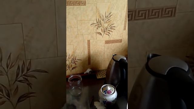 вино готова 720p смотреть онлайн