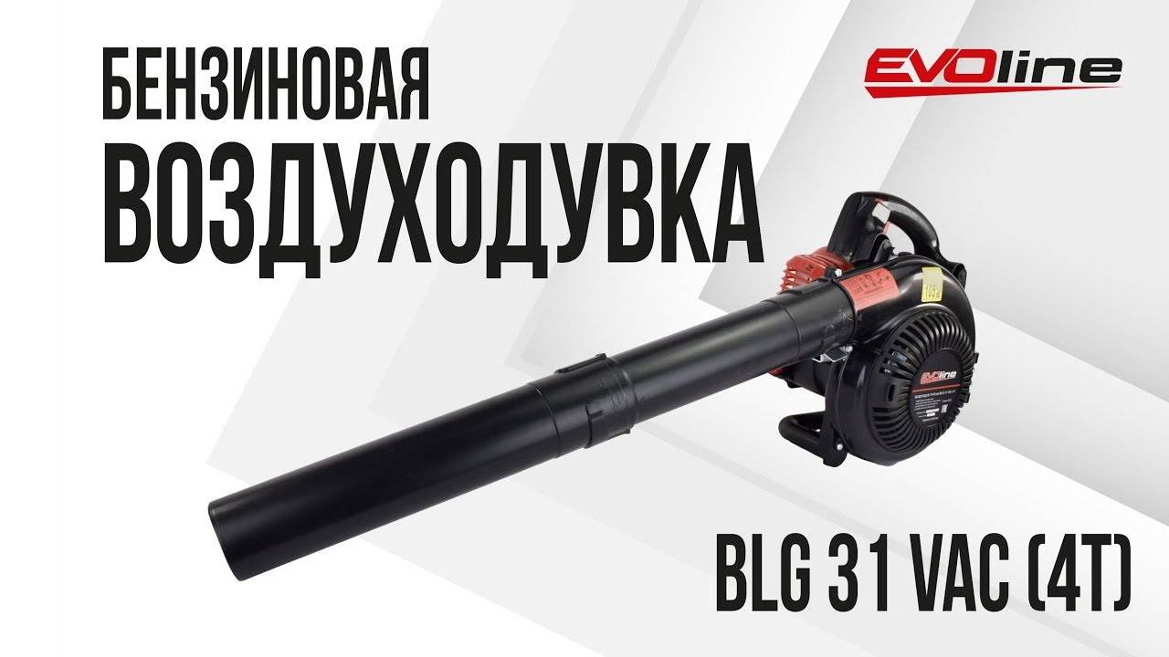 Садовая воздуходувка / садовый пылесос EVOline BLG 31 VAC (4T) смотреть онлайн