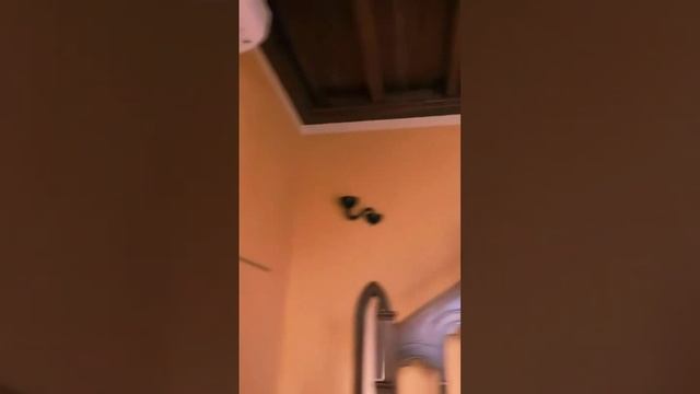 В ласточкином гнезде #mosacore #Ялта #Крым #travel смотреть онлайн