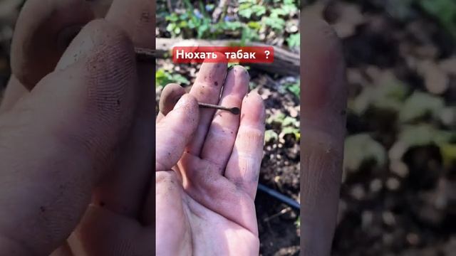 Для чего нужна микро ложечка #shorts