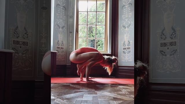 Yoga time. Bakasana. Домашняя йога. Бакасана. Вдохновение. смотреть онлайн