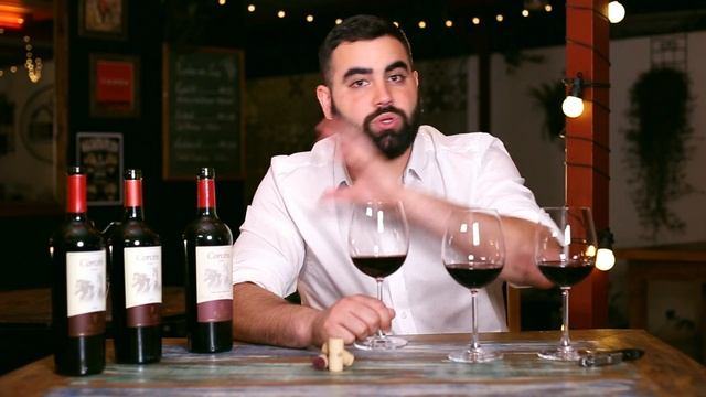 Episódio 18 - Degustação Vertical - Tannat смотреть онлайн