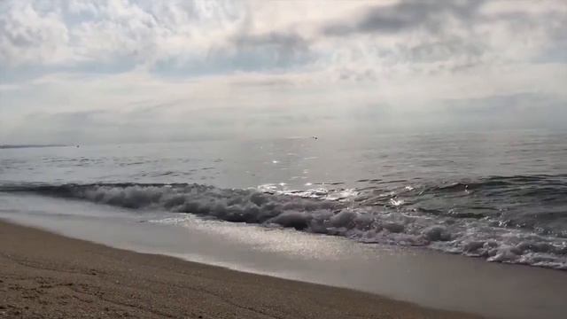 Отзыв Натальи Зиборовой об обучении в школе ШРИМ смотреть онлайн