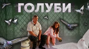 Дачники-удачники - Голубятня