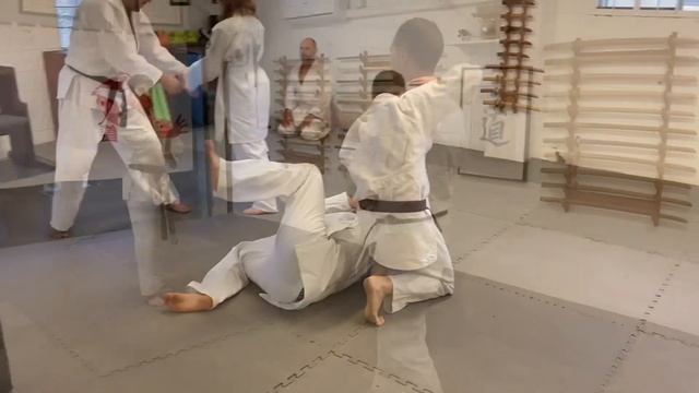 Goshu-ryu #Aiki #Jujutsu #sunshinecoast #dojo | Class Reflection 22/11/22 смотреть онлайн