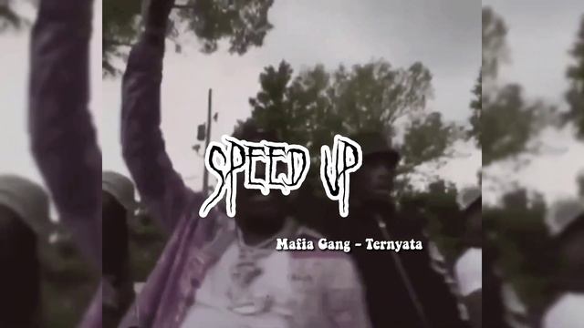 MAFIA GANG - TERNYATA ( speed up ) смотреть онлайн