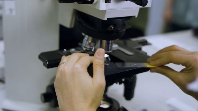 BSc Biological Sciences at the RVC смотреть онлайн