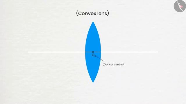 Class 10 Science Chapter 10 