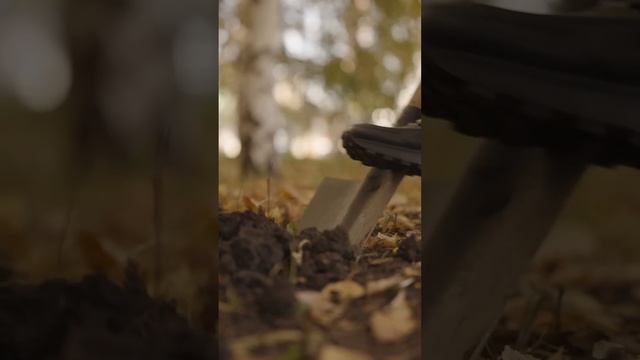 Как бесплатно получить машину?  | LjN8K96js