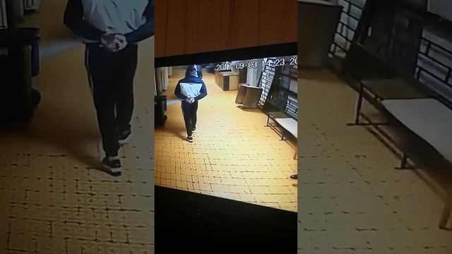 Bijeg Sejfovica смотреть онлайн