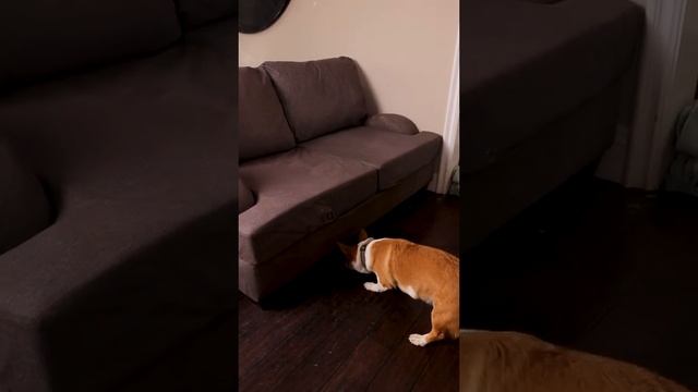 Hide and seekZach King смотреть онлайн
