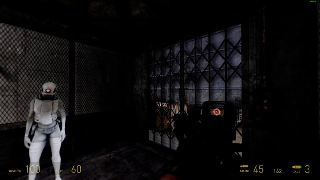 Half - Life 2: Combine Assassin Skin For Alyx.