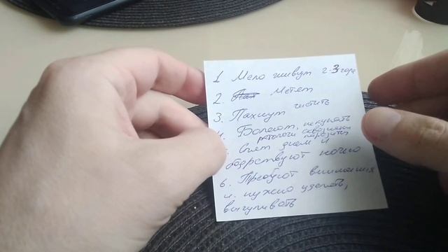 Минусы домашней крысы смотреть онлайн