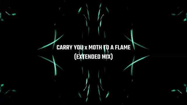 Martin Garrix, Third Party x Swedish House Mafia - Carry You x Moth To A Flame (Extended Mix Mashup смотреть онлайн