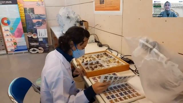 Guest Lecture Seri 11: M.K Entomologi Lanjut (ENT510) смотреть онлайн