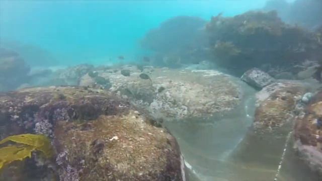 Oceans: Reflection. смотреть онлайн