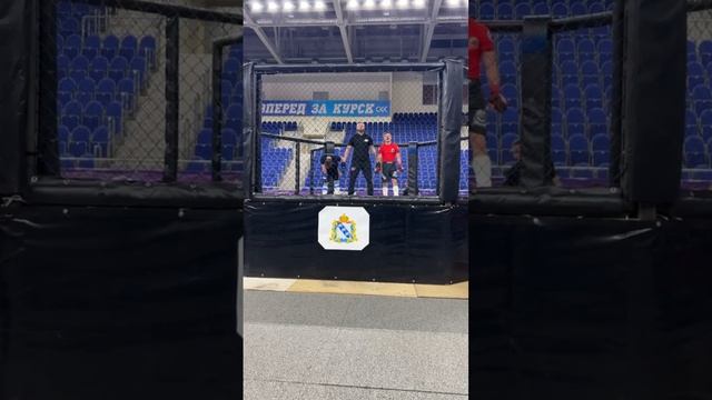 Чемпионат и первенство Курской области по MMA смотреть онлайн