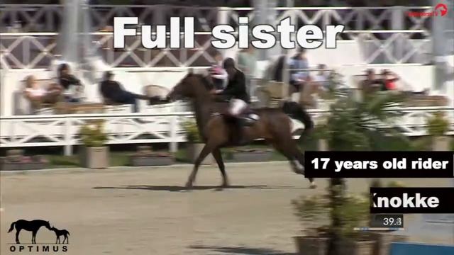 Diamant x Cento , full sister or brother of Cristel M смотреть онлайн