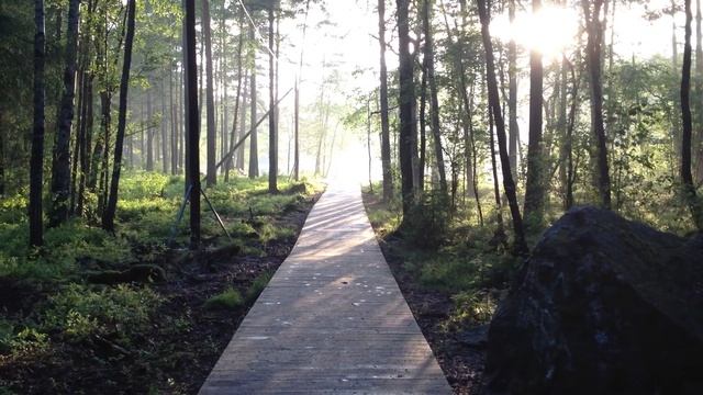late evening on Barnsjön, Tyresö смотреть онлайн