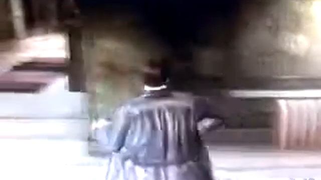 FALL OF MAX PAYNE MUSIC VIDEO смотреть онлайн