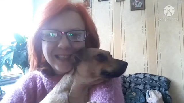 Блог/Утро со мной/Наши червероногие члены семьи... смотреть онлайн