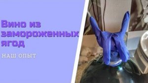 Домашнее вино из замороженных ягод продолжаем рецепт