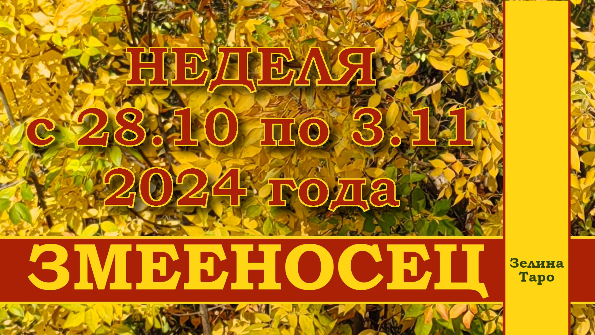 ЗМЕЕНОСЕЦ | ТАРО прогноз на неделю с 28 октября по 3 ноября 2024 года