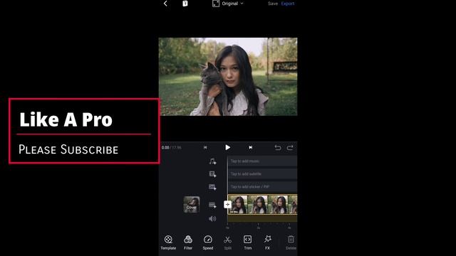 Color Grading With Filter LUT In VN Video Editor | New Best Video Editor App 2022 | color grading смотреть онлайн