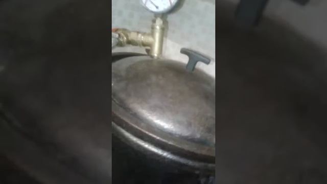 Автоклав борщь