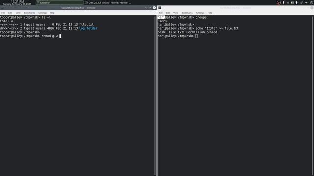 chmod | Linux | Command Line смотреть онлайн