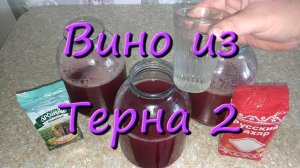Вино Из Терна Дикая Слива Простой Рецепт Вина В Домашних Условиях Домашнее Вино 2