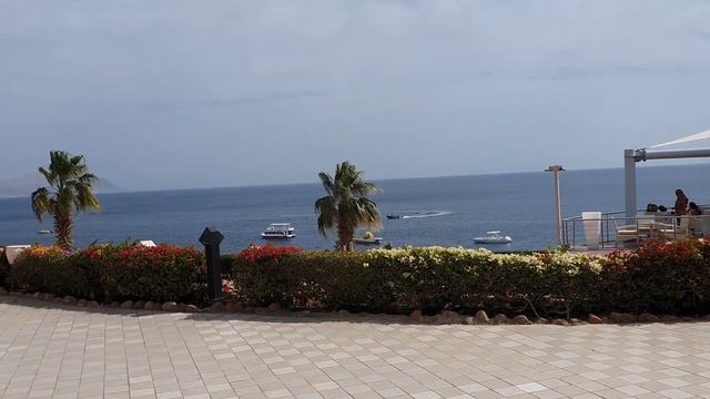 Обзор отеля Concorde El Salam Sharm El Sheikh февраль 2022 смотреть онлайн