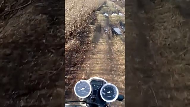 Покатушки #2 один и жопу носит смотреть онлайн