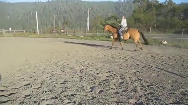 Mac 2010 001.AVI смотреть онлайн